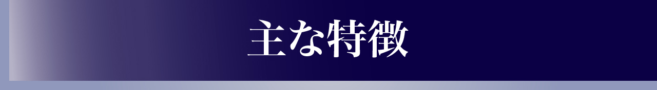 主な特徴